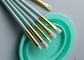 Set di pennelli per trucco essenziale in oro verde 12 pezzi con etichetta privata personalizzata