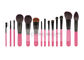 Raccolta di lusso rosa della spazzola di 14 PCS CosmeticMakeup con le setole squisite della natura