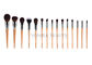 set di pennelli professionale del professionista del corredo/bellezza della raccolta della spazzola di trucco 15Pcs
