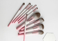 Insieme di spazzole bianco rosa di trucco di colore di pendenza di Vonira 10 PCS con il logo dell'etichetta privata della fibra del cereale