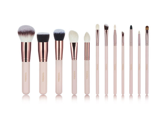 Insieme di spazzole cosmetico su ordinazione di Logo Vonira Nude Pink 12pcs